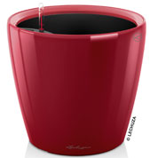 Classico LS 35 - Red - LECHUZA